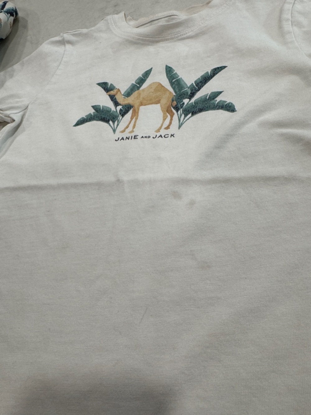Janie and Jack Camel Swim Trunks and Cotton Shirt 5T - Picture 6 of 8